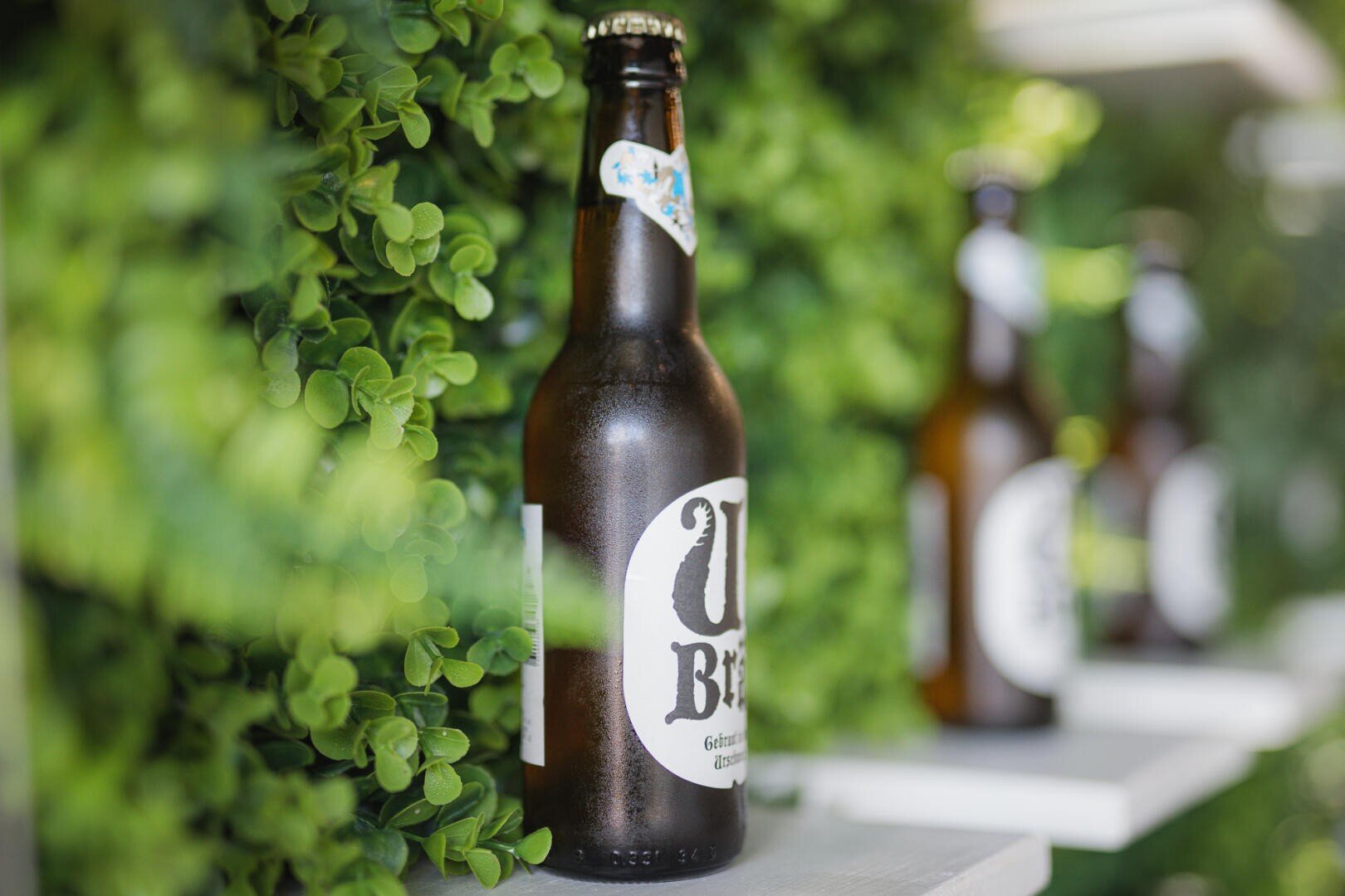 Eine Nahaufnahme einer braunen Bierflasche mit der Aufschrift U Bier auf einem weißen Regal, umgeben von üppigen grünen Kunstpflanzen. Andere ähnliche Flaschen sind im Hintergrund verschwommen.