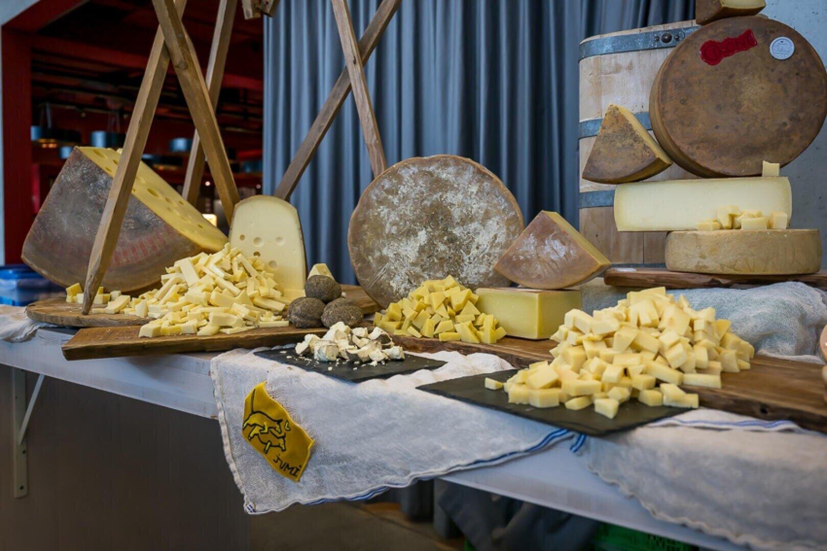 A display of assorted cheeses, including large cheese wheels, wedges, and piles of cubed cheese, arranged on a table covered with a cloth, with a cheese knife and barrels in the background.