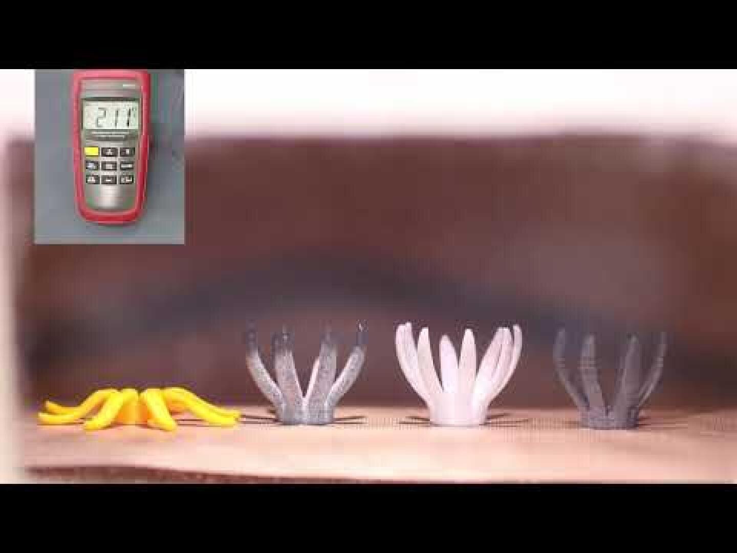 Abgebildet sind vier weiche Robotergreifer: ein vollständig geschlossener, zwei teilweise geöffnete und ein vollständig geöffneter; ein digitales Thermometer, das 21,7 °C anzeigt, ist eingefügt.